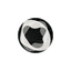 SOYL AI Logo